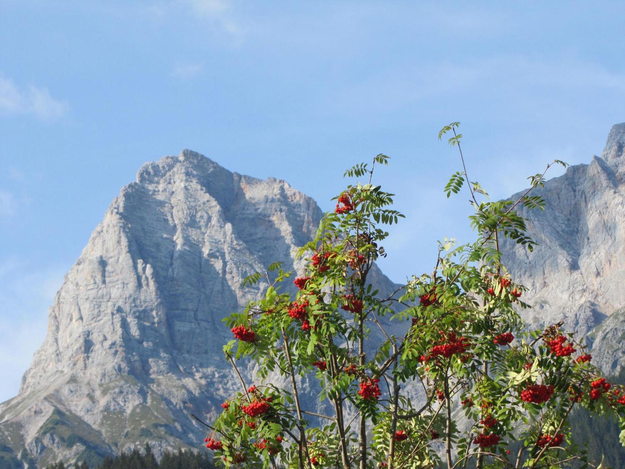 Ferienwohnung Klappacher Maria Alm am Steinernen Meer Kültér fotó
